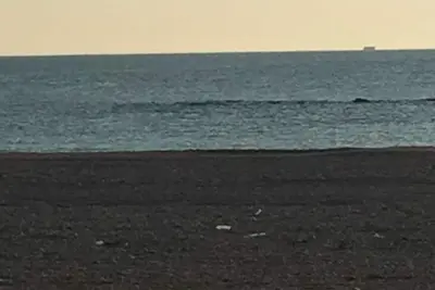 Image de \"J'adore la vie marine\"