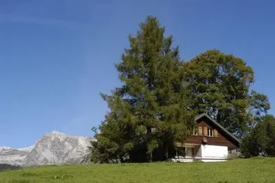 Image de Maison de vacances Wildhaus pour 1 - 8 personnes avec 4 chambres à coucher - Maison de vacances