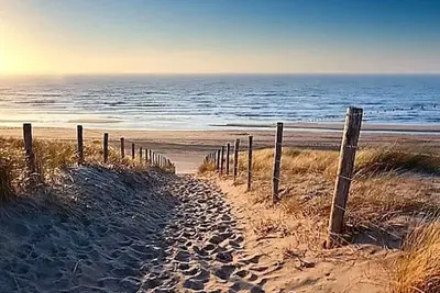 Image de Proche des plages, Villa 4pers dans les pins, avec piscine