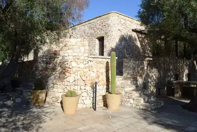 Image de Maison entourée d'une oliveraie