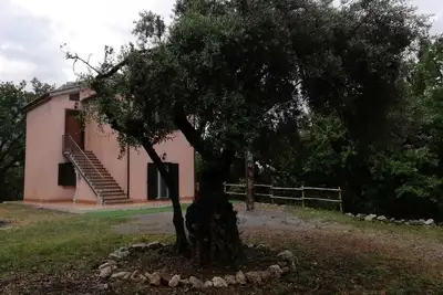 Image de Immergé dans le vert de Maratea à 1 km de la mer