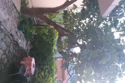Image de Appartement dans la nature