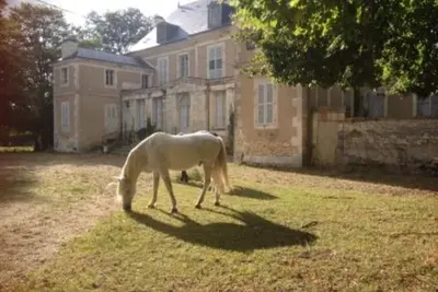 Image de Venez au Château Laleuf pour une cure de désintoxication numérique!