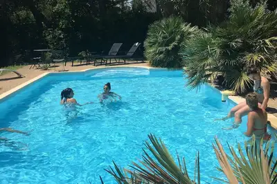 Image de Villa provençale avec ses grands pins et sa piscine.