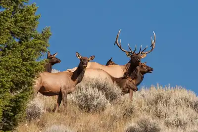 Image de Rocky Mountain Rv Camp