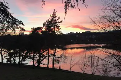 Image de Calme et confort au coeur de Lyon