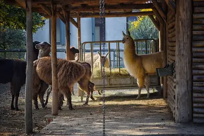 Image de Logement immergé dans la tranquillité de la campagne de Polesana