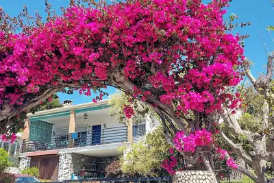 Image de Belle maison avec jardin à 3 minutes de la plage