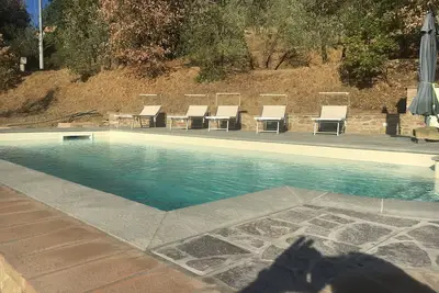 Image de Le jardin des olives