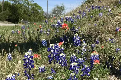 Image de Louez une maison de campagne conviviale pour toute la famille avec un mobilier artisanal vivant