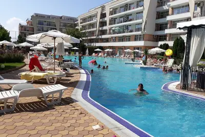 Image de studio Grand Kamelia