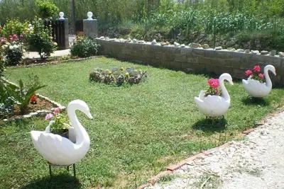 Image de Appartement dans Privlaka avec vue mer, Balcon, Climatisation, Wifi (667-2)