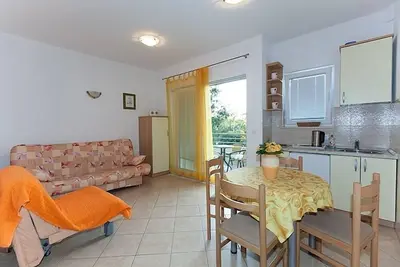 Appartement dans Tučepi avec terrasse, Climatisation, Wifi, Machine à laver (202-4)
