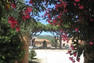 Image de Appartement - Castiglione della pescaia