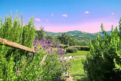 Image de Appartement à ferme dans les coquelicots près de Assise