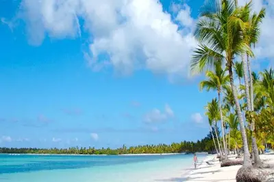 Image de Créez des souvenirs inoubliables dans un paradis exotique en République dominicaine
