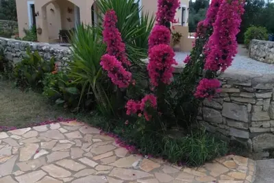 Image de Villa avec une vue fantastique sur les «Montagnes Blanches»