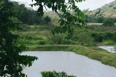 Image de Contact avec la nature en toute sécurité et confortablement proche de Recife-Pe