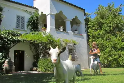 Image de Appartement avec piscine: 2 Parcs Nationaux et à 30 minutes des plages!