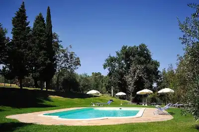 Image de Comte Venanzio.