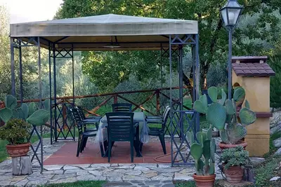 Image de Une oasis parmi les oliviers avec une vue imprenable sur Florence
