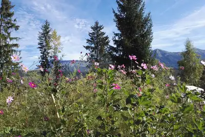 Image de Gîte juqu'à12 personnes  en pleine nature