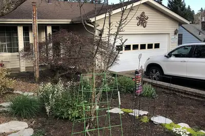 Image de Location juillet et août. College Hill / Quartier convivial. 4 chambres 3 salles de bain