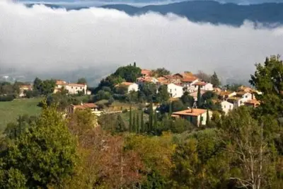 Image de Maison / villa - Polveraia, Scansano, Grosseto