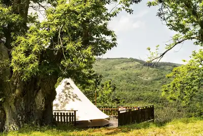 Image de Expérience Glamping au Cœur de la Toscane avec Vue Panoramique