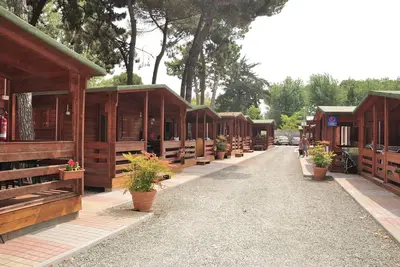 Image de Bungalow 4 pièces pour 4 personnes - Marina di Massa