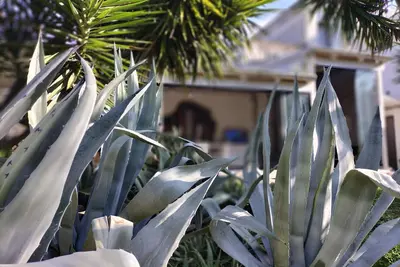 Image de Appartement dans une ferme de 700 avec piscine