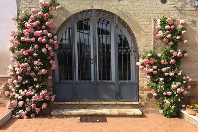Image de Maison immergée dans la campagne des Marches