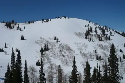 Image de Belle Powder Ridge Resort (ski in \/ ski out) meilleure valeur dans l'Utah!