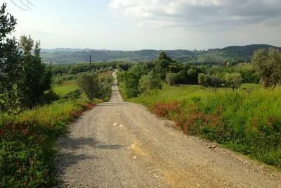 Image de Agriturismo Le Capanne: ferme biologique niché dans les collines toscanes