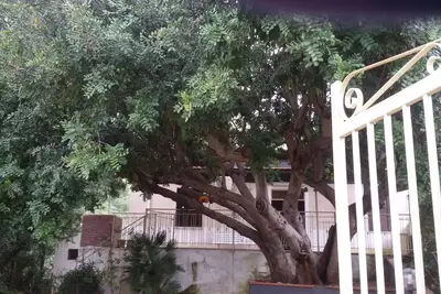 casetta di campagna tra mare e terme