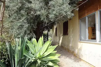 Image de Casetta des Oliviers - maison avec jardin Ă 5 minutes de la plage