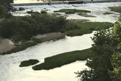 Image de Super Cozy Garden Cabin Situé sur la rivière Bourbeuse