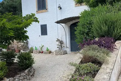 Image de Casina Fumarola parmi les anciens oliviers