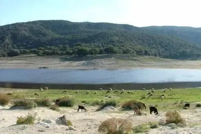 Image de Gîte et chambre d'hôtes au bord du lac Afourgaa, à 50 min de Fès