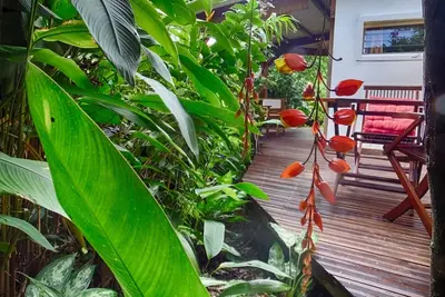 Image de Nid d'amoureux au coeur d'un jardin tropical riche