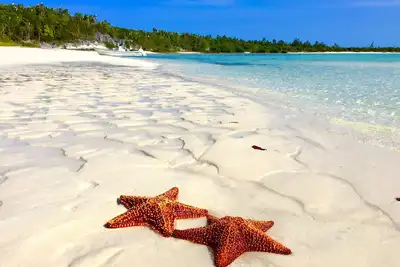 Image de Superbe plage de sable rose! Navigation de plaisance, pêche au gros, plongée en apnée, kayak depuis notre quai