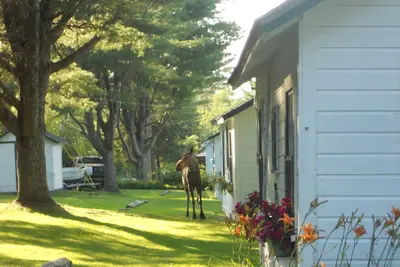 Image de Kelsey's Cottage sur Jackson Brook Lake à Brookton dans le Maine