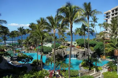 Of Studio Disp. 12 / 22-29 à 2019