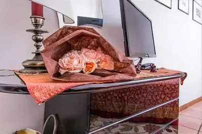 Villa Ombrosa, appartement à 150 mètres de la mer et de la pinède