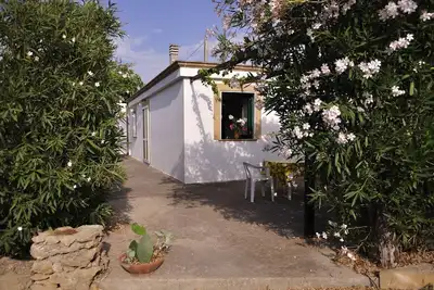 Offre spéciale Maison entourée de verdure