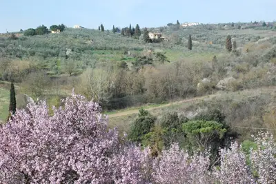 Image de Maison de vacances \"Gli Oleandri di Belfiore\". Dans les collines mais à deux pas de Florence
