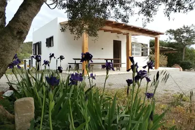 Image de Sa Vinya Maison de campagne