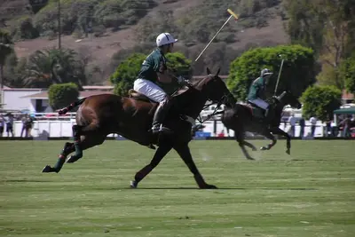 Image de Siège au premier rang sur un terrain de classe mondiale Polo!