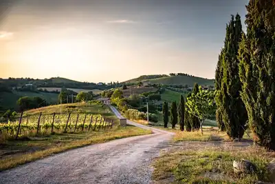 Image de Dernière minute! - Il Largo delle Querce