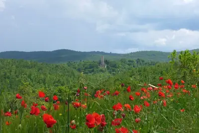 Image de Ferme \"Torre di Sant'Ansano\"